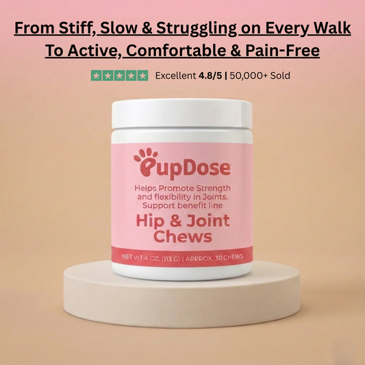Hip & Joint Chews — Inflammation Relief & Long-Term Mobility for Dogs