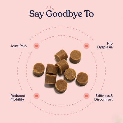 Hip & Joint Chews — Inflammation Relief & Long-Term Mobility for Dogs